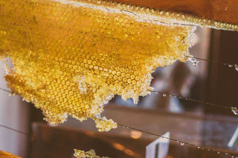 Honey may be the natural buzz you need to fuel your workouts