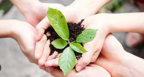 Women in Swat Take Lead in Environmental Conservation to Foster Community Participation