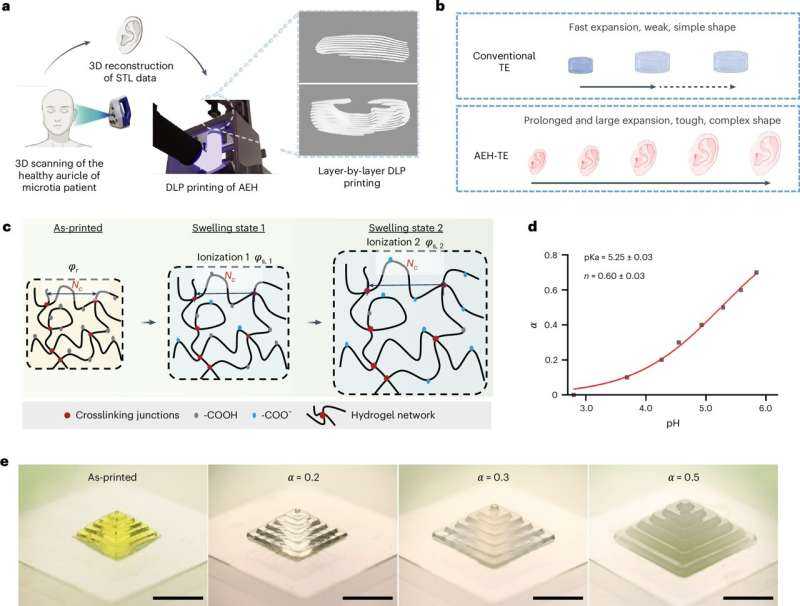 Custom 4D-Printed Implants Offer Less Painful Path to Tissue Reconstruction