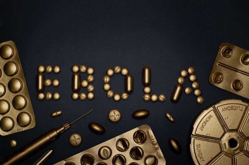 Ebola may have spread beyond Africa. How are health authorities responding?