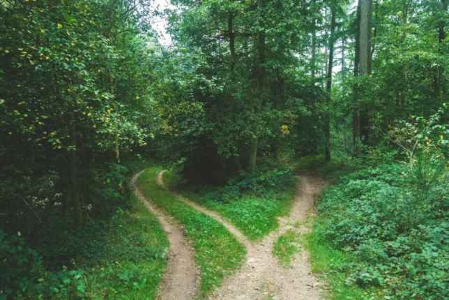 We do not Have a Decider in Our Brain: Cognitive Neuroscientist Challenges Theories of Decision-Making