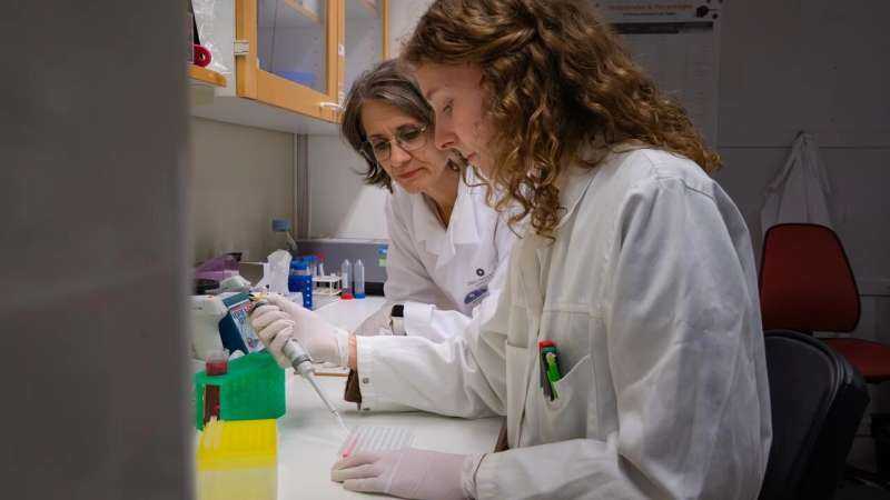 Study Reveals Fetal Environment's Role in Reducing Risk of Type 1 Diabetes