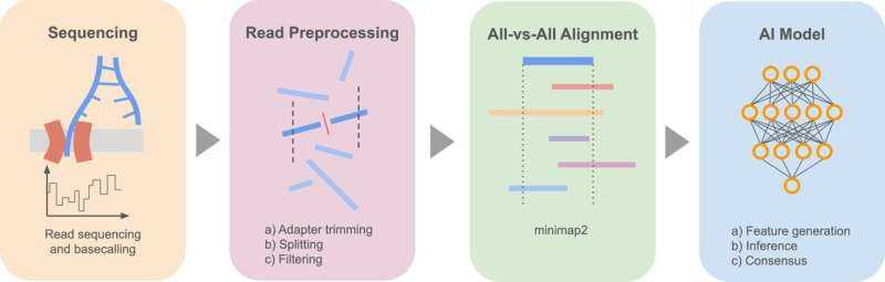 AI Tool HERRO Simplifies Complete Genome Assembly, Boosting Diagnostics and Precision Medicine