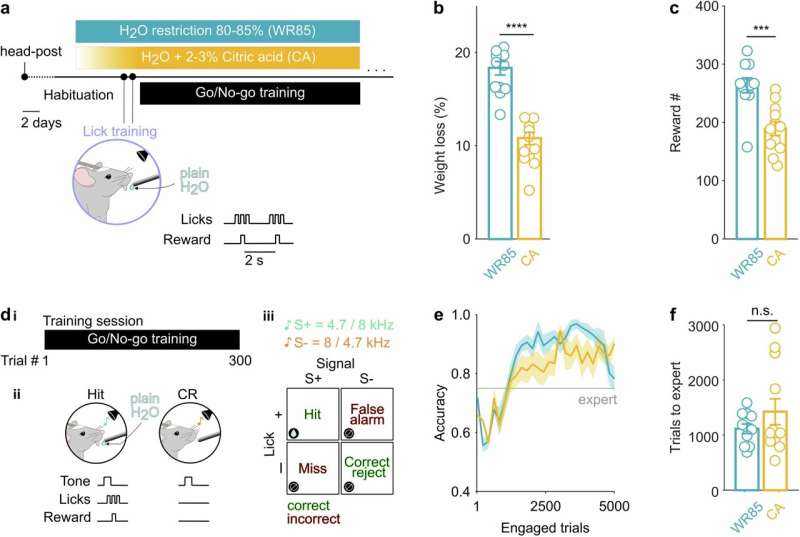 Habits Form Far Faster Than Previously Thought, Research Shows