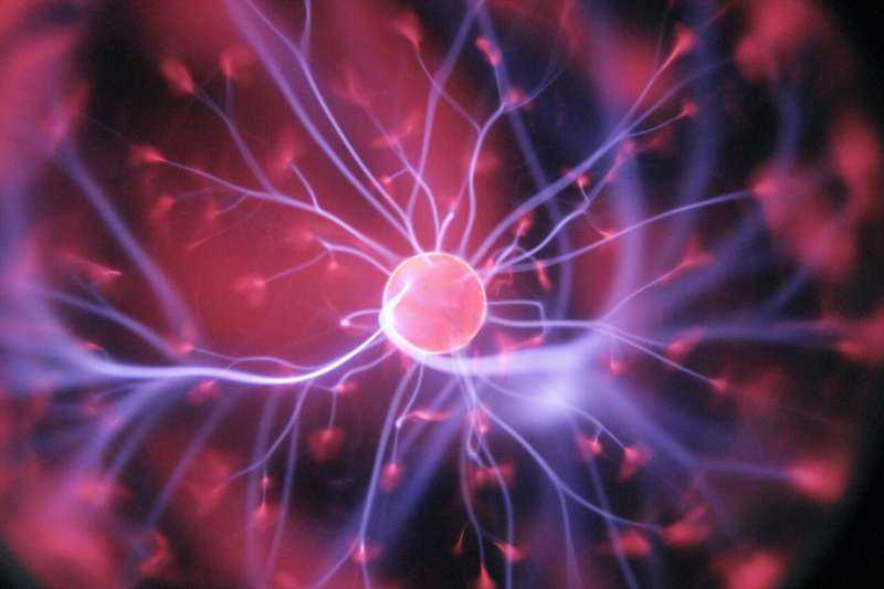 New Study Reveals Brain's 'Switchboard' Preserves Old Memories While Forming New Ones