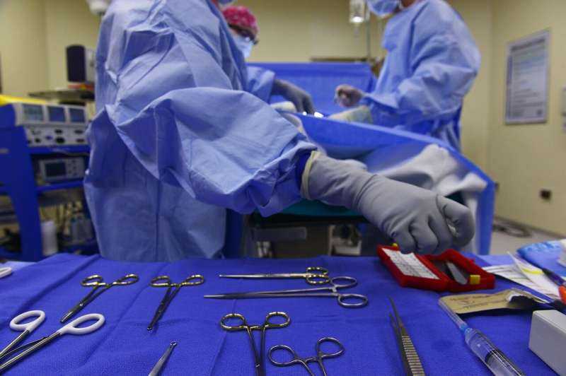 Transplant Survival Rates Improve, Yet Organ Shortages Persist