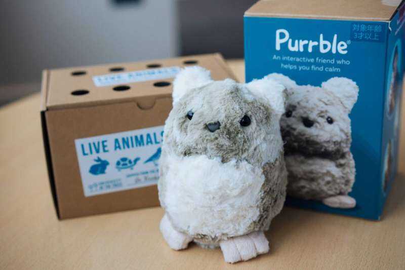 Robotic plushie could significantly ease depression in LGBTQ+ teens