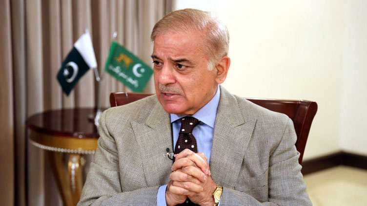 PM Reaffirms Pakistan's Commitment to Climate Action on World Environment Day