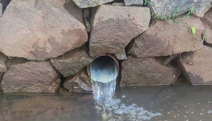 Wellington Flooded with Faeces as Wastewater Pipes Fail During Storm