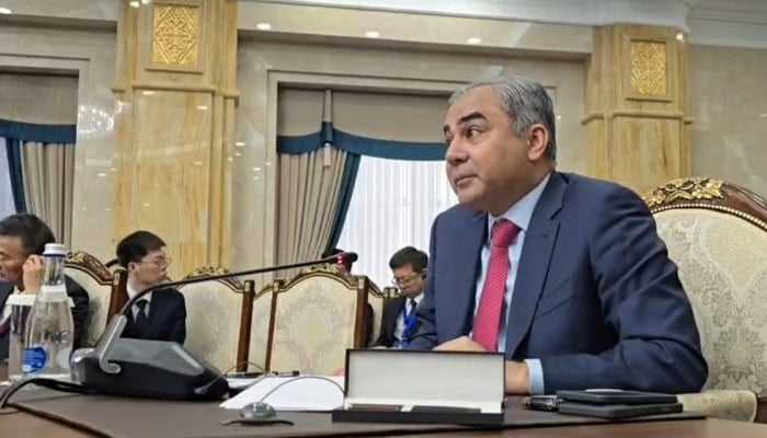 SCO huddle: Pakistan calls for coordinated response to complex security challenges