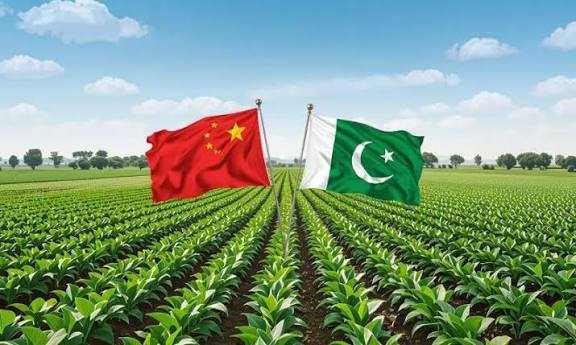 China, Pakistan Enhance Tropical Agricultural Science Collaboration