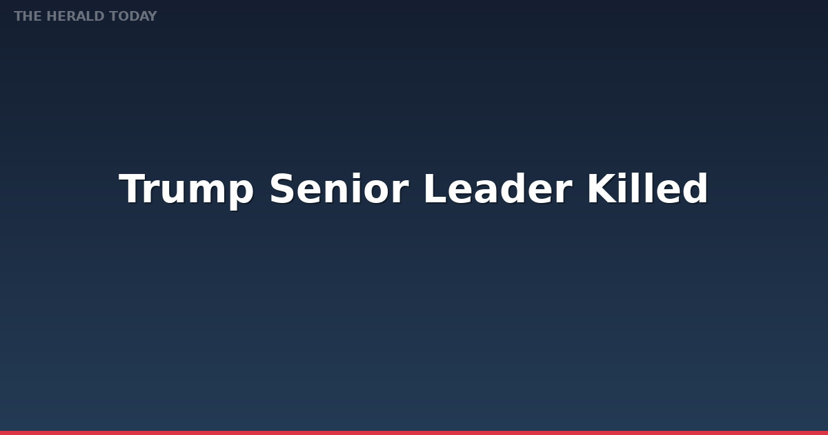 Trump says senior IS leader killed by US and Nigerian forces