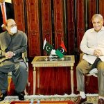 The Straining Marriage of Convenience: PPP-PML(N) Coalition on the Verge of Collapse