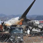 Evidence of Bird Strike Found in South Korea Plane Crash Engines