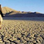 Below-Average Rainfall in Pakistan Raises Drought Concerns, Warns PMD