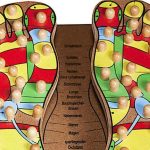 The Secret to Weight Loss After 50: Akusoli Acupressure Insoles