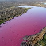 Argentina Canal Turns Red: What Caused the Water’s Shocking Color Change?