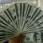 Dollar traders halt, awaiting US employment data.