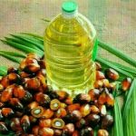 Palm oil futures begin trading down amid softer crude, edible oil values.