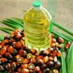 Palm oil pressured by weaker ringgit; crude prices limit losses