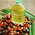 Palm oil trading commences with a decline due to soft crude rates.