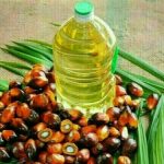 Palm oil trading commences with an uptick, buoyed by robust competing oils and crude values.