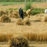 ADB will boost food security aid to $40bn by 2030