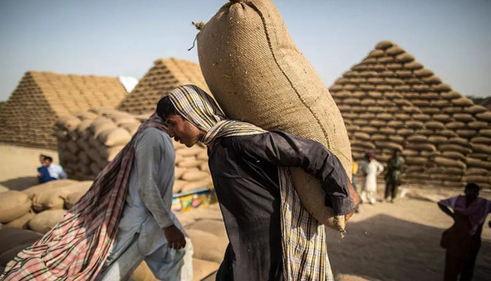On Labour Day, Pakistani daily wagers recount tales of resilience and hardship.
