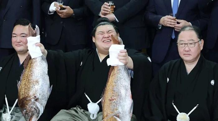 Onosato Claims 75th Yokozuna Title After Historic Ascent