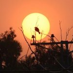 Pakistan Experienced One of the Driest, Hottest Aprils in 65 Years: PMD