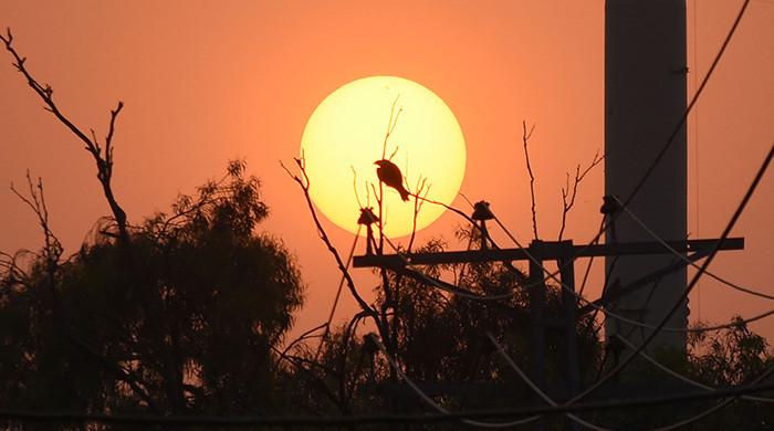 Pakistan Experienced One of the Driest, Hottest Aprils in 65 Years: PMD