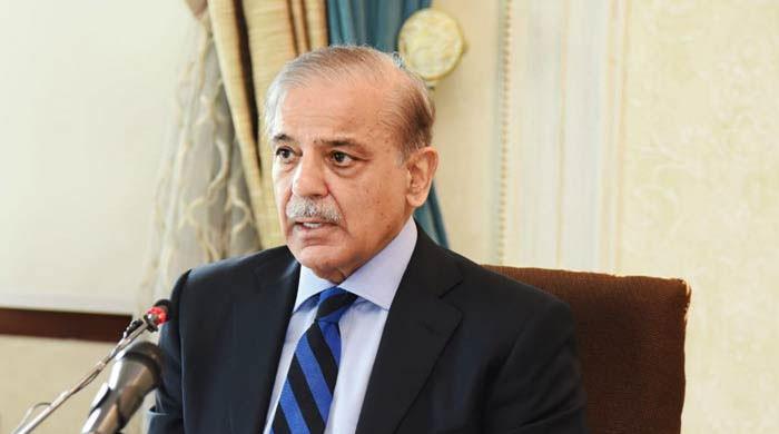 Shehbaz Sharif extends welcome to PKK