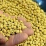 Soybeans climb again; US-China trade tensions limit upside.