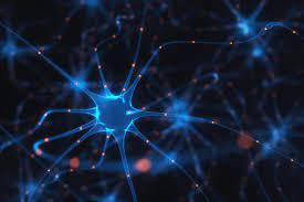 7MM Multiple Sclerosis Diagnosed Cases to Reach 1.64 Million by 2033 Amid Slow Growth