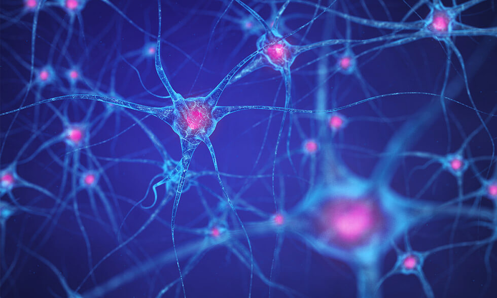 7MM Multiple Sclerosis Diagnosed Cases to Reach 1.64 Million by 2033 Amid Slow Growth