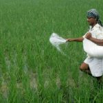 CCP Imposes Rs375mn Fine on Fertilizer Firms, FMPAC for Price Collusion
