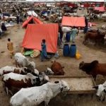 Eid ul Adha: Government announces four-day holiday