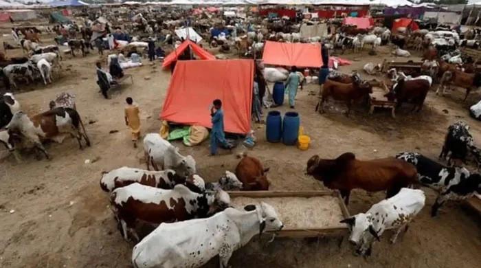 Eid ul Adha: Government announces four-day holiday