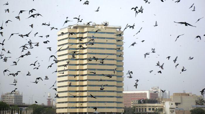 Heatwave to sweep Sindh, Balochistan; Karachi prepares for strong winds