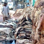 Leather sector in Pakistan requests reduced chemical import taxes