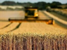 PM vows to cut farm input tax, enhance agritech sector