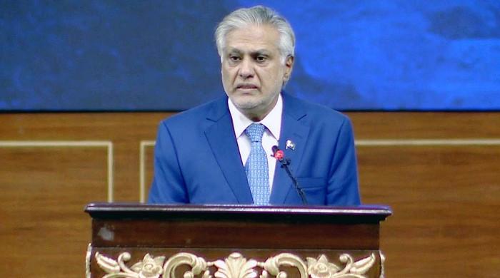 Pakistan prepared for India talks, but not eager: DPM Dar