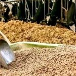 Seminar Held: Boost Pakistan’s Fodder Export