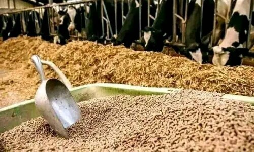 Seminar Held: Boost Pakistan’s Fodder Export