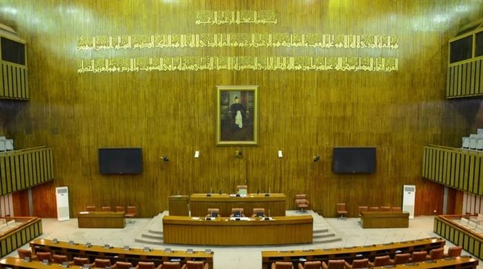 Senate learns 2,500 civil servants possess dual citizenship