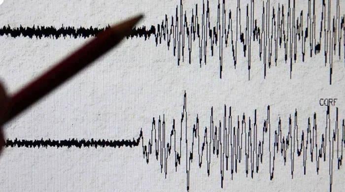 Shallow Quake Jolts Balochistan Area; No Damage Declared