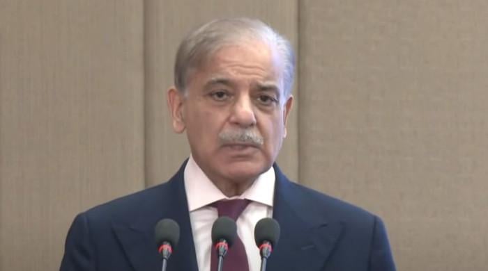 Shehbaz Sharif pledges to foster solar energy growth, assures ease for users