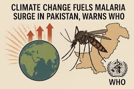 WHO and Pakistan Warn Climate Change Is Driving Malaria Surge with 2 Million Cases Annually