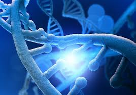 Why Your Body Can’t Survive Without This Essential Molecule,and How to Restore It Fast!