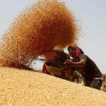 AGP Exposes Massive Rs300bn Wheat Scandal